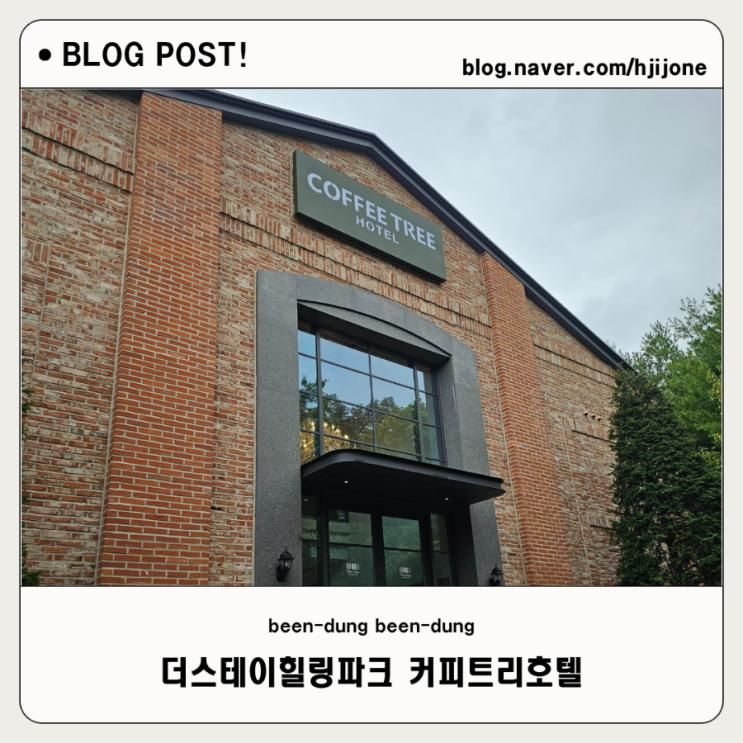 더스테이힐링파크 가평 리조트 커피트리 아쿠아 패밀리풀... 