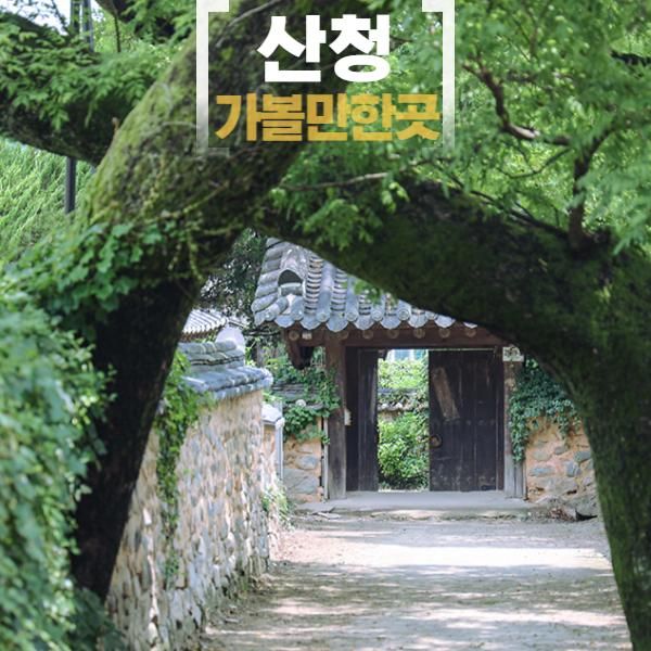 산청 가볼만한곳 남사예담촌 동의보감촌 무릉교 약초시장