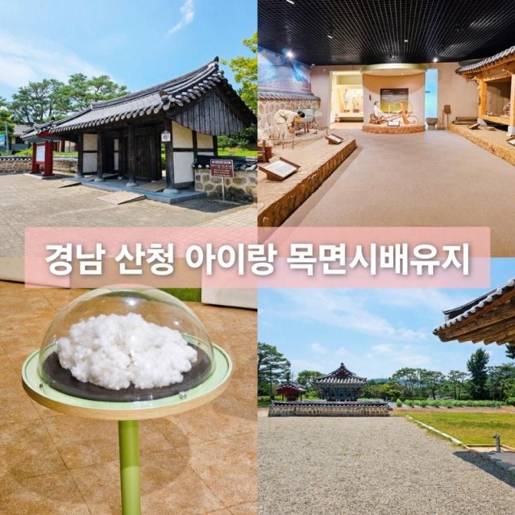 경남 산청 아이랑 가볼만한 곳 목면시배유지 주차장 입장료 무료