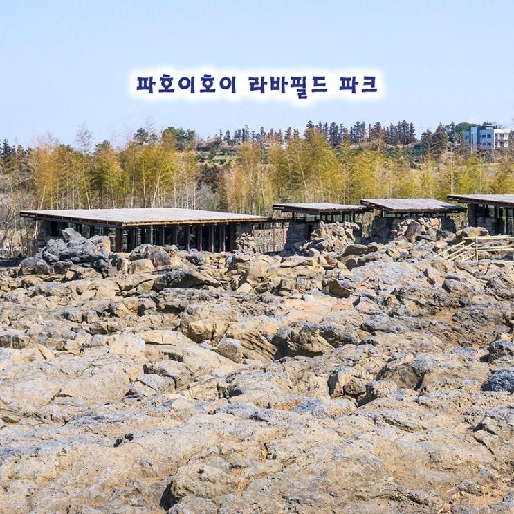 3월 제주도 여행 파호이호이 라바필드 파크 용암지질공원 후기