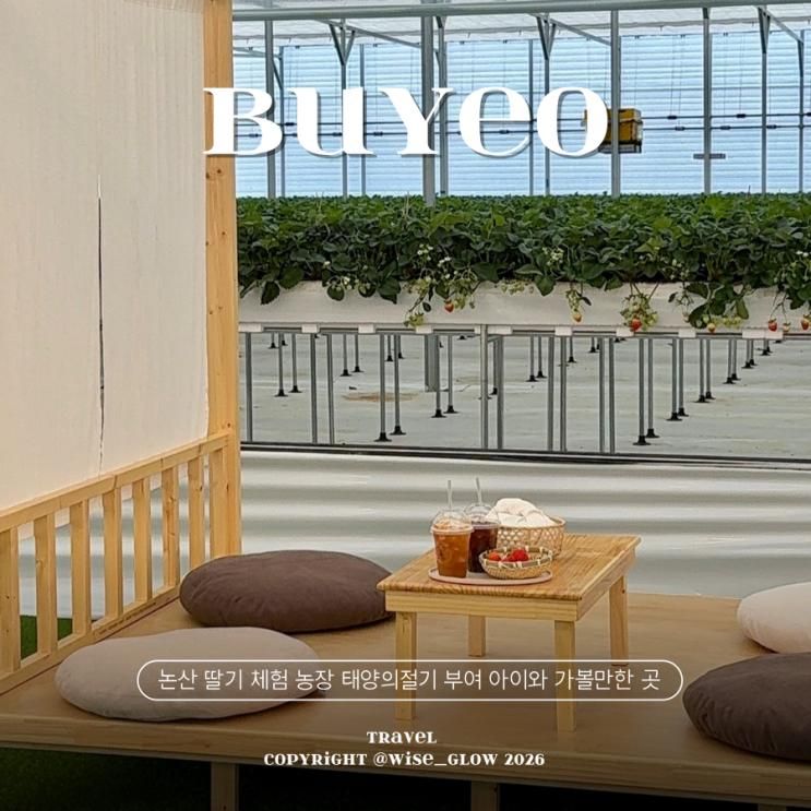 논산 딸기 체험 농장 태양의절기 부여 아이와 가볼만한 곳 추천... 