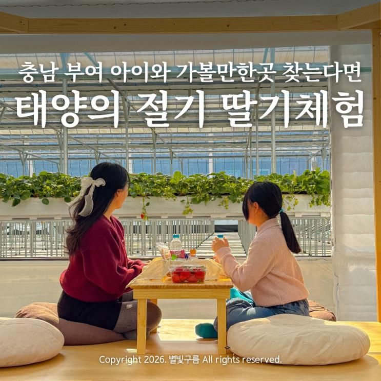 하기좋은 충남 부여 아이와 가볼만한곳 딸기농장 태양의절기