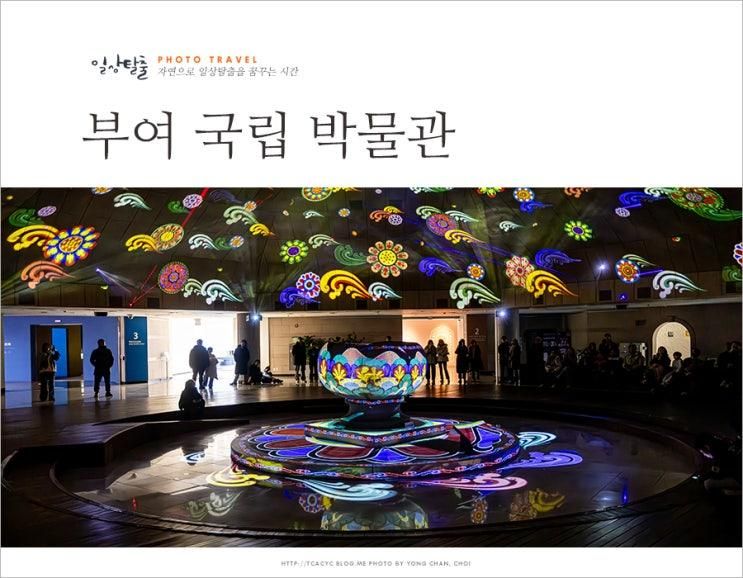 충남 부여 실내 가볼만한곳... 이사통 촬영지 국립부여박물관