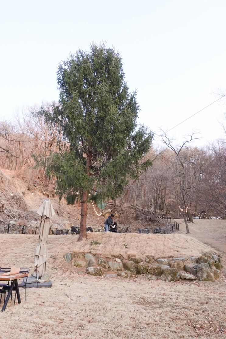 남양주 브런치카페/남양주 애견동반 가능한 대형카페 팔숲... 