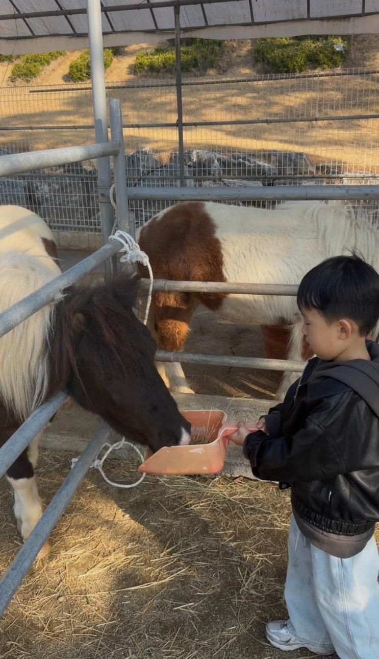 시켜먹어도 토끼 말먹이체험 놀이터 무료인 카페 구지 도동리138