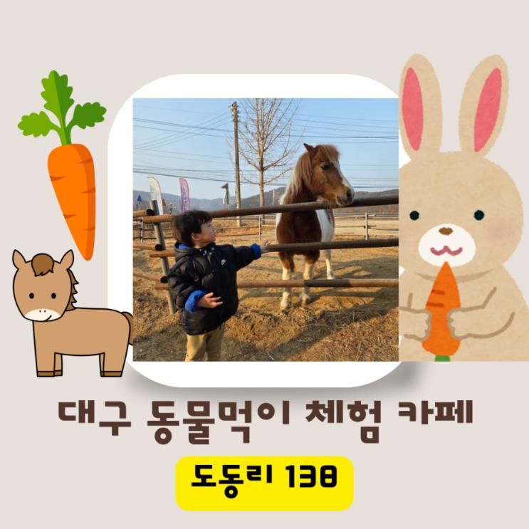 대구 동물먹이 체험 카페 도동리138 내돈내산 대만족