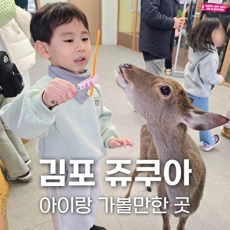 김포 아이랑 갈만한 곳 실내동물원 아쿠아리움 쥬쿠아 방문후기