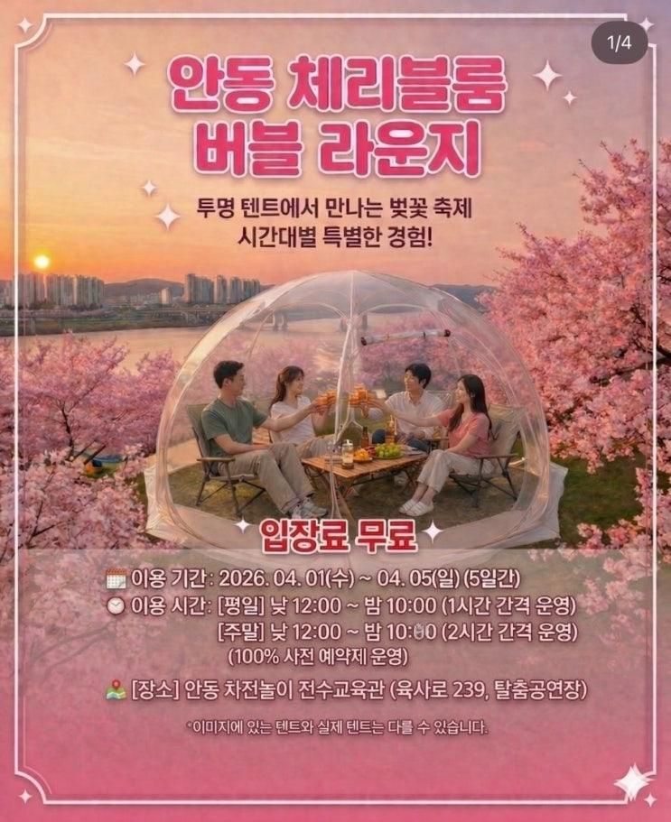 안동 벚꽃축제 2026 일정·주차 총정리｜탈춤공원 벚꽃길... 