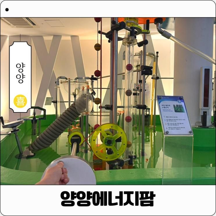 강원도 아이와 가볼만한곳 비오는날 실내 양양 에너지팜 무료... 
