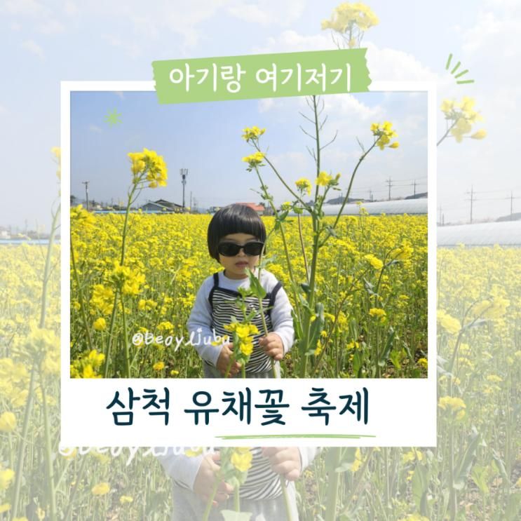 아기랑 강원도 봄나들이 여행 삼척 맹방 유채꽃축제 주차 꿀팁... 