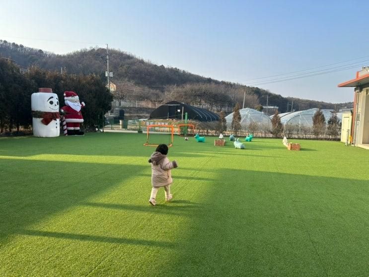 아기랑 파주 목장체험 추천 파주 룰루목장 동물먹이주기... 