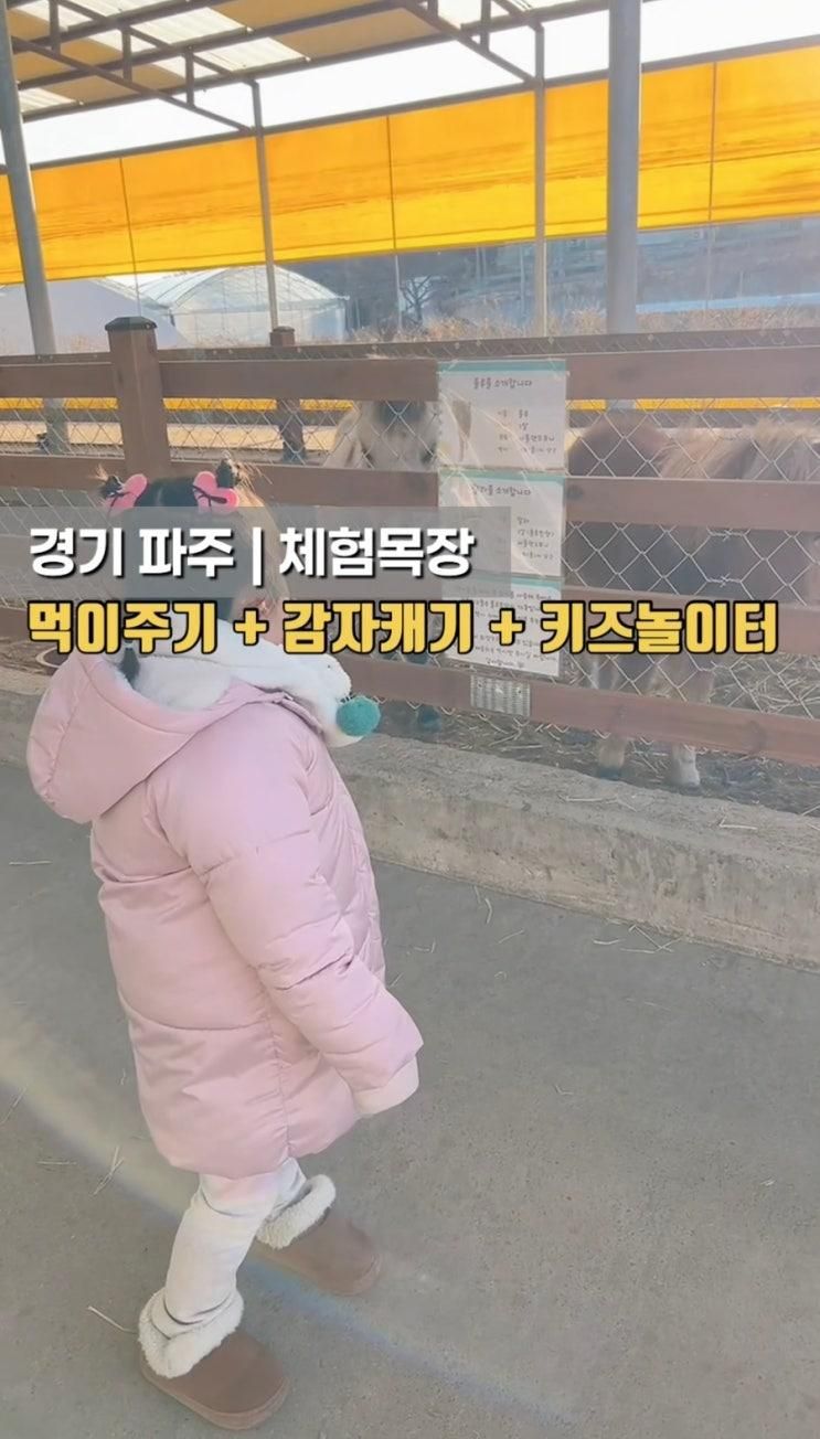 파주 룰루목장 동물먹이주기 감자캐기 체험목장