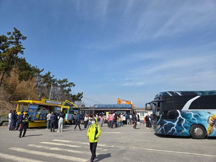 신안 선도 섬산행  대덕산 옥녀봉 범덕산 수선화 꽃단지