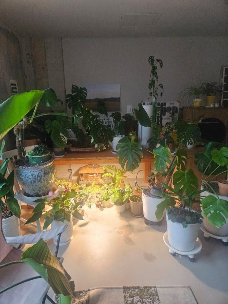 산방산 뷰와 현지인 찐맛집 리스트 챙겨준 제주 틈