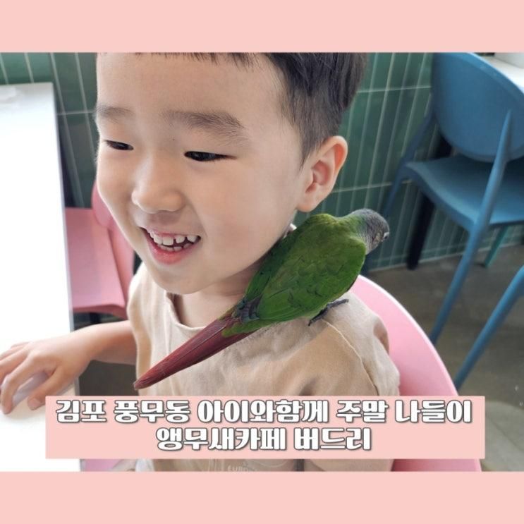 김포 풍무동 아이와 함께 주말 나들이 앵무새카페 버드리
