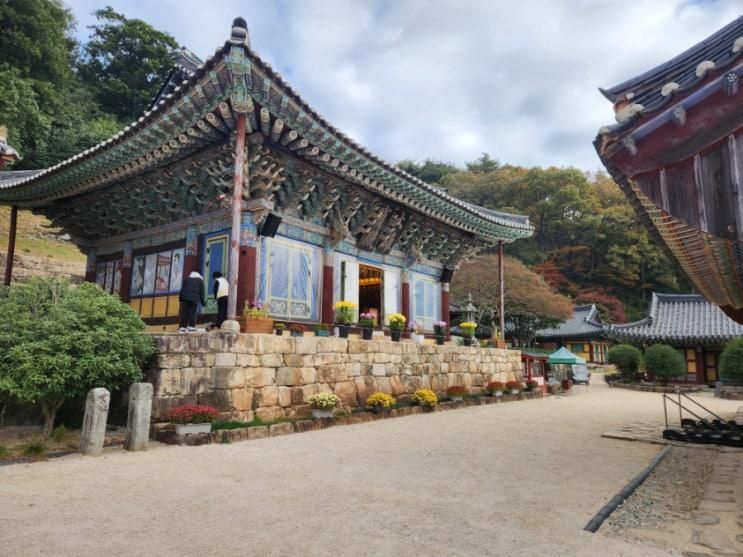 전남 강진 가볼만한곳 백련사 병영성 월남사지