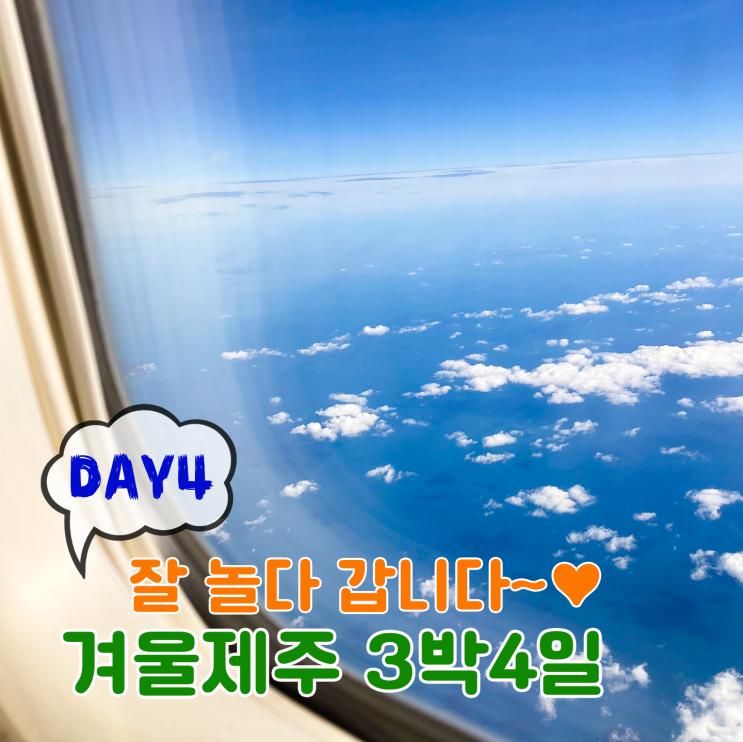 3박4일 겨울 #제주여행 DAY4 / 다자요 하천바람집 밖거리 이용 후, 더아일랜더, 제주공항! 다시 서울로~