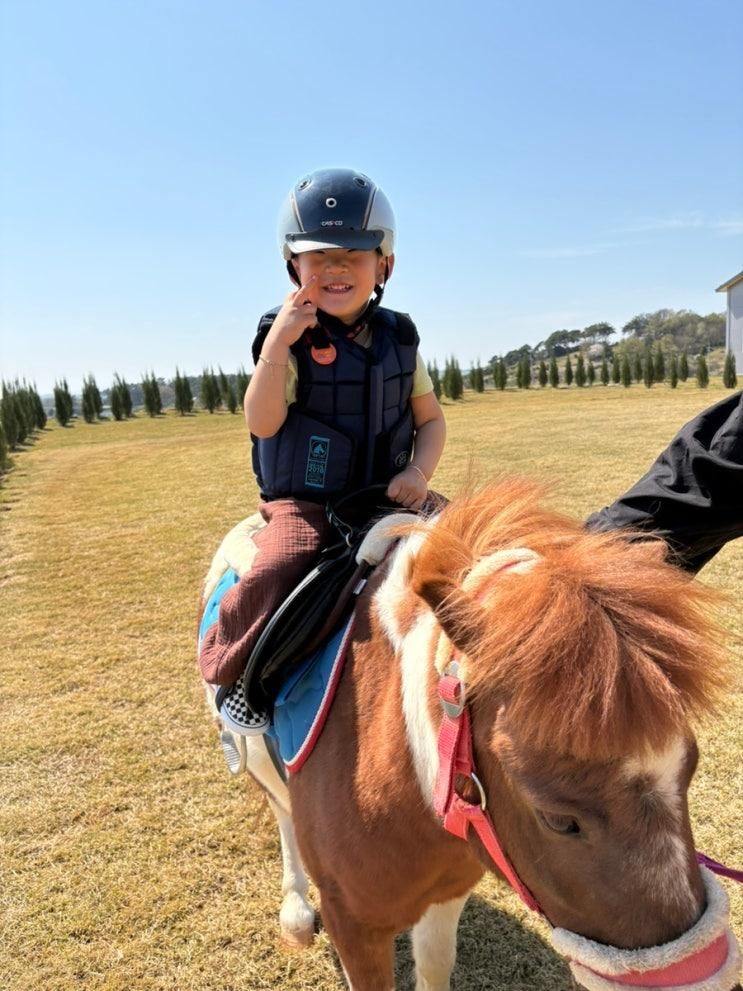 김제 나인캐슬 승마체험🐴 33개월 아기랑 다녀온 찐후기 (먹이주기·솜사탕·키즈놀이까지!)