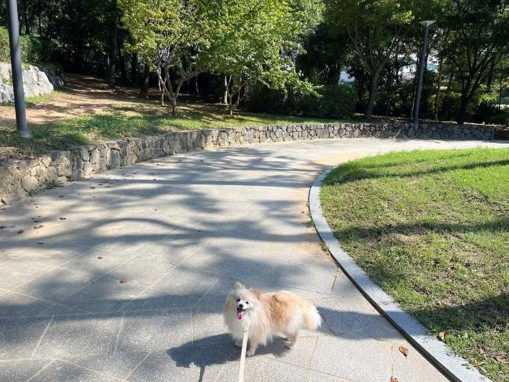 동탄 센트럴파크 주차장 요금, 공원 애견동반 산책