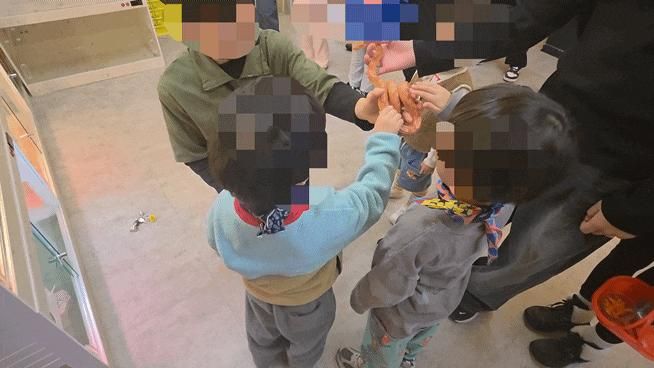 광주 아이랑 실내 동물원 헬로애니멀 광주점 방문 후기