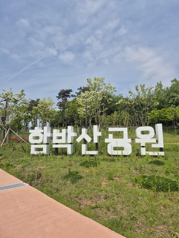 평택 고덕 함박산 중앙 공원