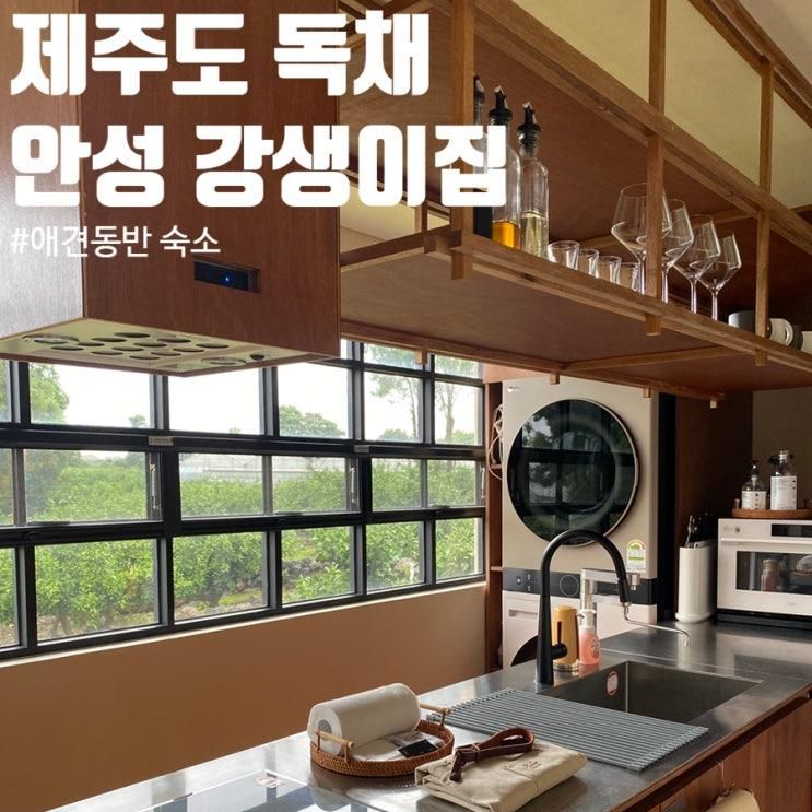 제주도 안성 강생이집 강아지를 위한 애견동반 독채 숙소 추천