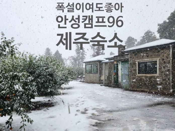 제주 감성 숙소 추천 | 폭설 속에서도 좋았던 귤밭 독채 안성캠프96