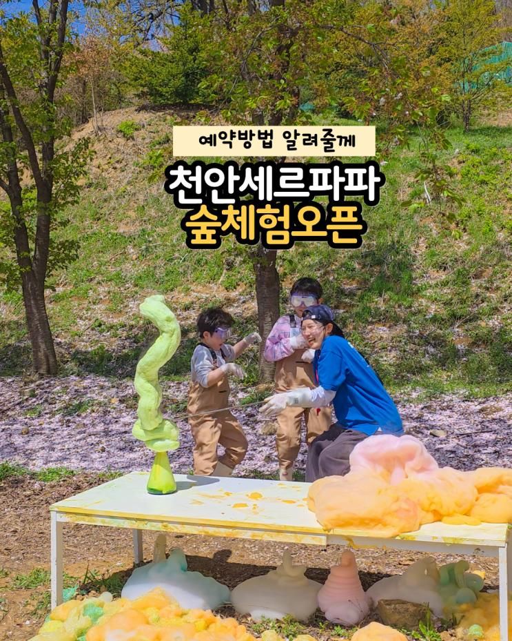 천안 아이와 가볼만한곳 세르파파 천안점 숲체험 부모... 
