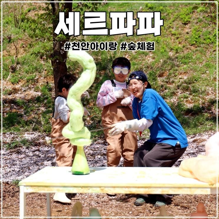 천안 아이랑 가볼만한곳 숲체험 키즈클래스 세르파파 준비물... 