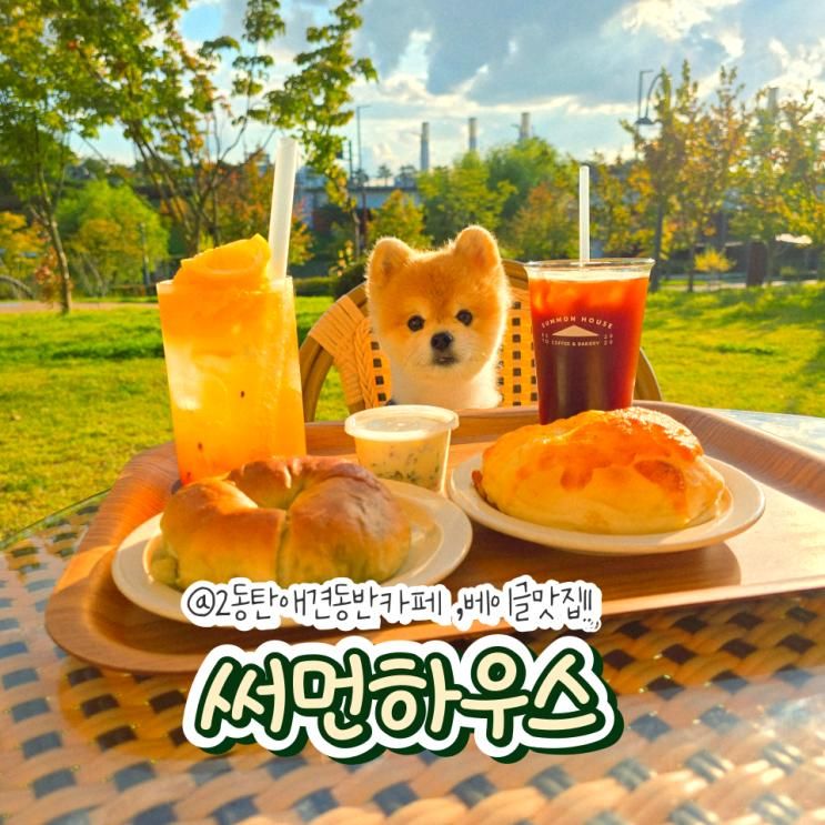 2동탄 애견동반 카페 써먼하우스 베이글이 맛있는 집