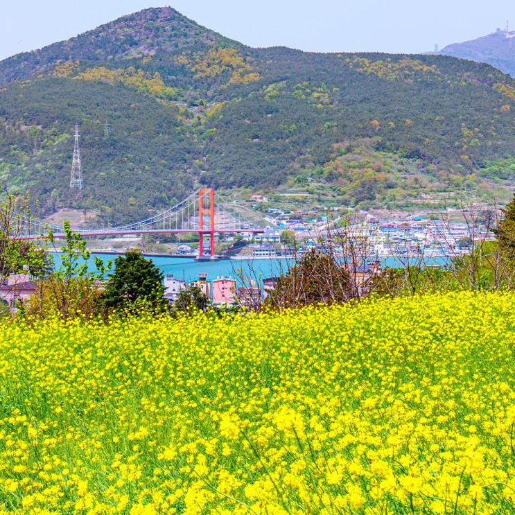 4월 남해 가볼만한곳 유채꽃 명소 두모마을 다랭이마을 코스
