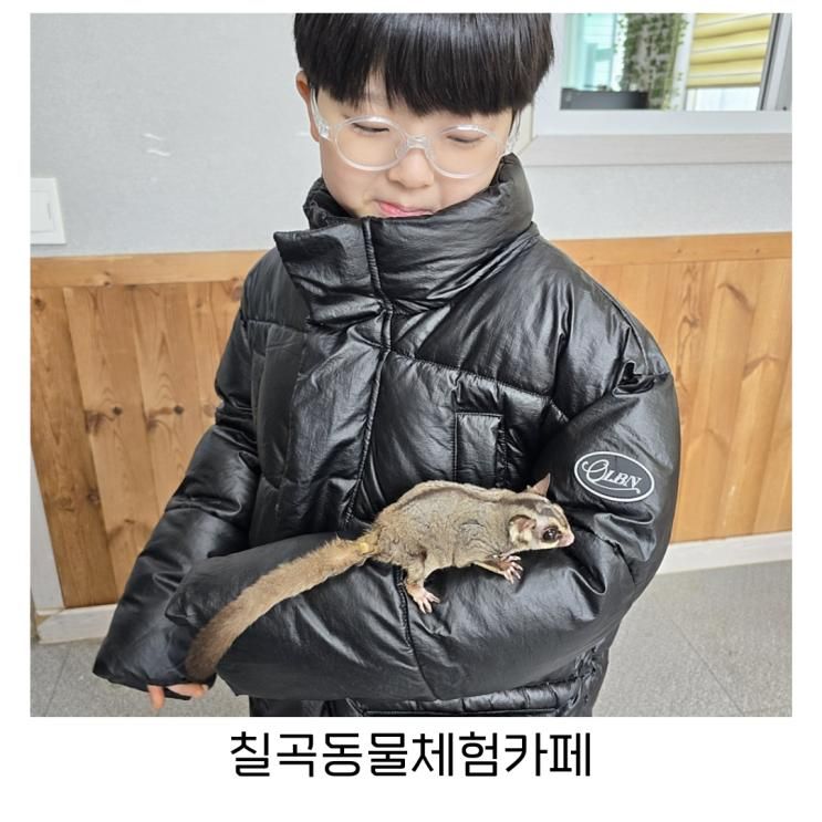 대구 아이와가볼만한곳 먹이체험 미니동물원 칠곡동물체험카페