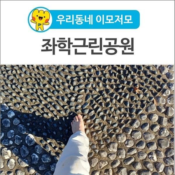 [우리동네 이모저모] 겨울철 산책하기 좋은 좌학근린공원