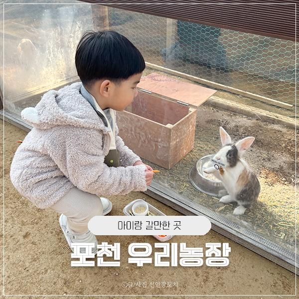 포천 우리농장 새로 오픈한 서울근교 아이랑 가볼만한곳