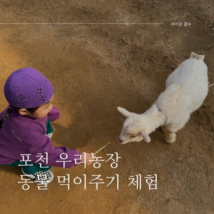 포천 우리농장 오픈소식 듣고 달려가! 동물 먹이주기 체험 가능!