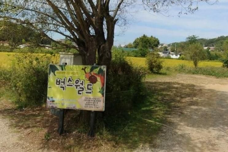 경기도 시흥 아이랑 가볼만한 곳 벅스월드 곤충체험농장