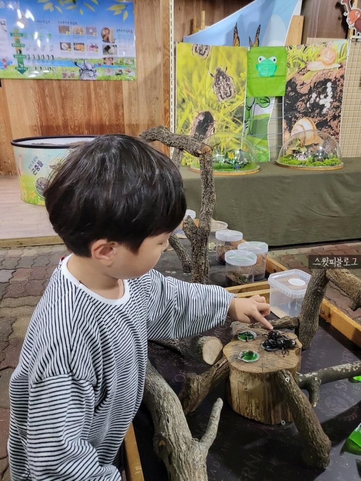 곤충덕후 아이 모여라 시흥 곤충체험농장 벅스월드
