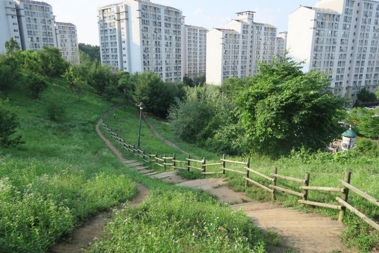 남양주강아지산책 진접은빛공원으로 우다다