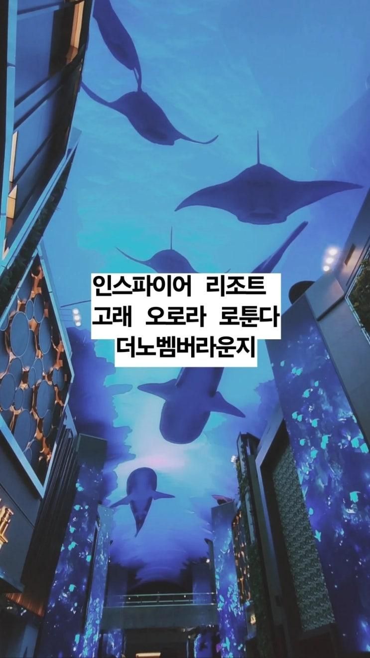 인스파이어 리조트 고래 오로라 더노벰버라운지 카페 후기