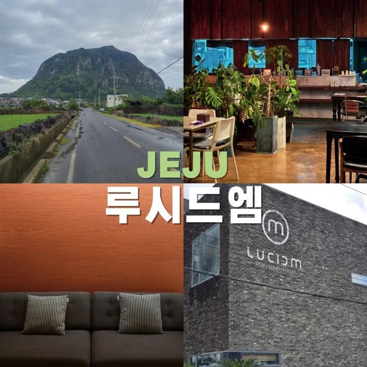 제주 산방산 숙소 루시드엠 펜션 207호 이용 후기