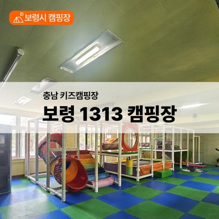 키즈캠핑장] 보령1313 캠핑장 솔직 후기 (구 에어마을보령... 