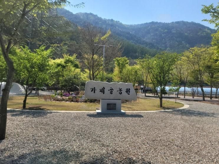 강원도 정선캠핑장, 조용하고 힐링 명소 가네골농원캠핑장... 