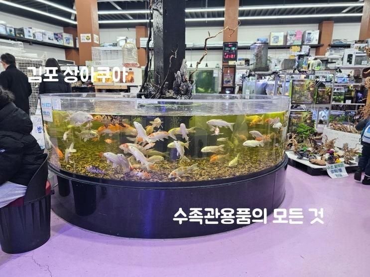 김포 아이와 갈만한 곳 - 어항부터 수초까지, 김포 상아쿠아
