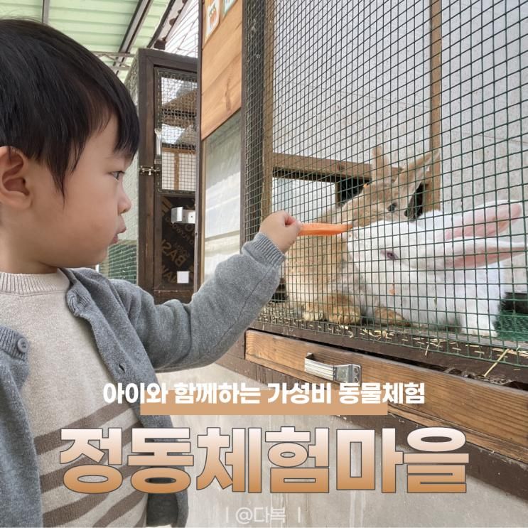 가볼만한 곳 | 정동체험마을, 27개월 아기와 가성비 동물체험