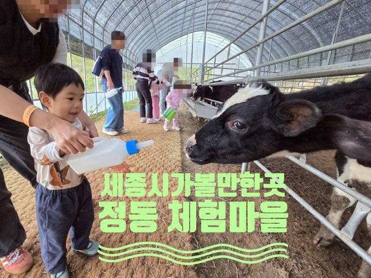 [대전 근교 아이와 가볼 만한 곳] 세종 정동 체험마을 동물... 