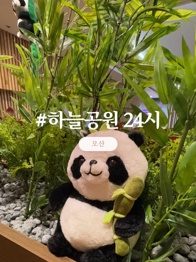 오산 찜질방 추천! 주차가 무려 12시간 하늘공원 24시 사우나