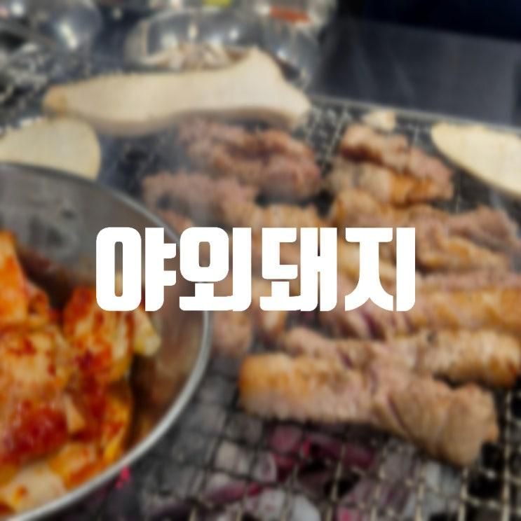 [대구] 캠핑 분위기의 숙성고기 성서 삼겹살맛집 야외돼지 성서점