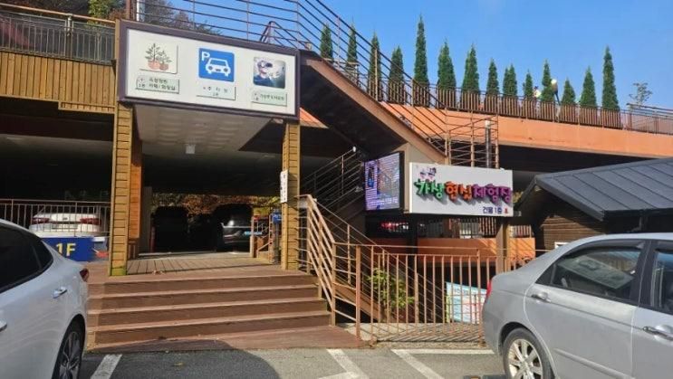 증평투어패스 사용후기 좌구산휴양림 가상증강현실체험장... 