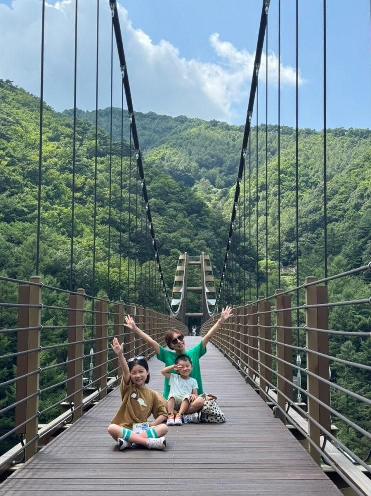 증평 가볼만한곳 좌구산 명상구름다리 가상증강현실체험장