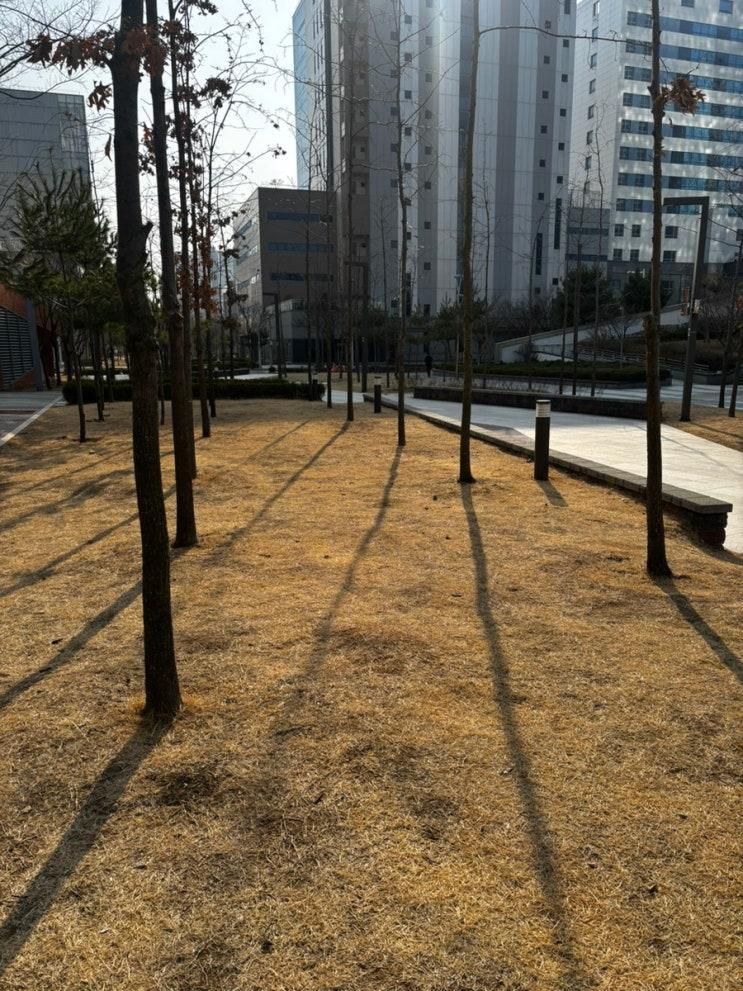 강아지 친화 카페, 지구본 송도에 다녀왔어요~